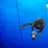 fredshipwrecks