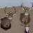 Buckhunter