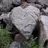 heartquest