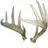 nyantler