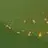 GoldHunter24k