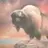 Buffalo Hunter