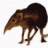 forumshrew