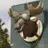 Loosemoose