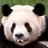 pandagold