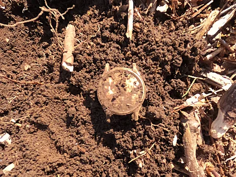 Updated! Found a 14k Gold Men's Wrist Watch! Omega Constellation Chronometer. by FreeBirdTim