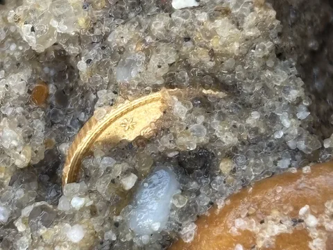 Gold dollar #5 for Fathers day by toasted