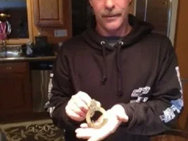REV WAR British 31st ROF Grenadiers Cartridge Box Plate!