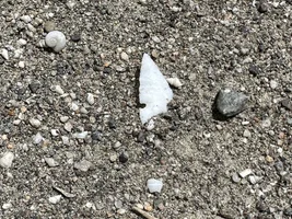 Found Lots of Arrowheads Today!
