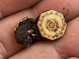My First Gold- Tudor Rose Gold Cufflinks