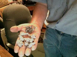 153 lbs of Silver.