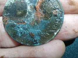 Found 1810 Bust Half.... My Dream Coin