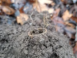 14k Freemason Ring With a Diamond! Christmas Came Early!