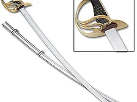 Civil war  Sword found