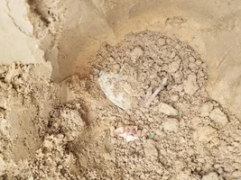 Incredibly epic Civil War Trash pit dig. 7 plates in 1 hole, leather pieces, hooks et