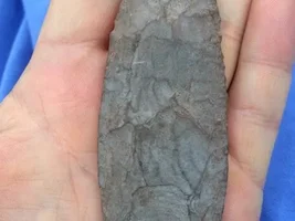 CLOVIS! My Oldest Find EVER!