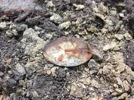 I just found an oval CS "egg" buckle from the Eastern Theater!!!