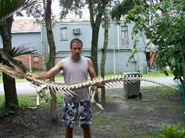 Mastodon Tusk...