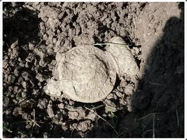 Did I Really Find a War of 1812 British Hat Badge Today!?