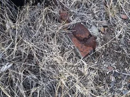 Dream find realized...and it tells a story!