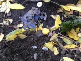 This could have been a once in a lifetime hunt!