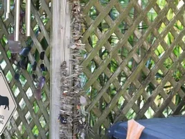 First hunt of 2013 produces multiple colonial silver!!