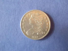Big Bust silver!!!!!!