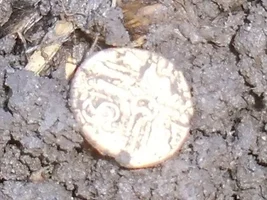 Massive Roman/Saxon Site - Day 5 - XP DEUS HITS GOLD...