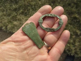 Yesterdays productive hunt yields rare rattlesnake and stars button plus much more