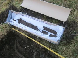 Best find of the year, Viking age grave