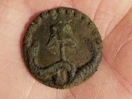 Rev War Rattlesnake Button!!!!