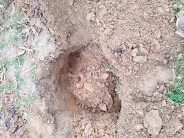Incredibly epic Civil War Trash pit dig. 7 plates in 1 hole, leather pieces, hooks et