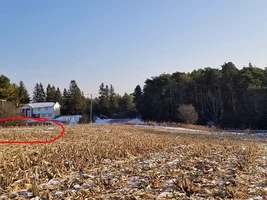 Civil war Sword found