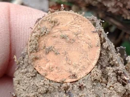 American Civil War Gold Coin!