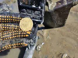 Lightning Strikes in the Lowcountry - Colonial Gold