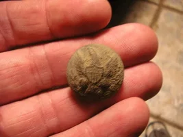 Trip to S.C. = 1853 Longacre "Type I" Liberty Head Gold Dollar!