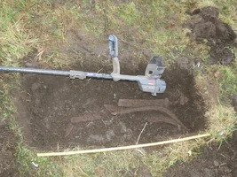 Best find of the year, Viking age grave