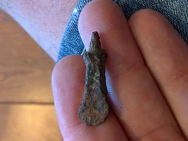 Deus elliptical HF finds 400-300 BC gold earring.