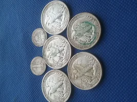 5 Walking Liberty Spill