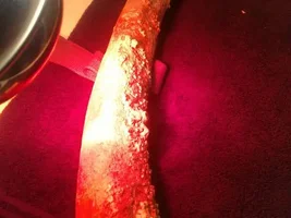 Mastodon Tusk...