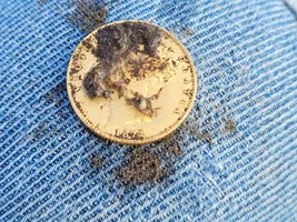 The best day ever! GOLD COIN!