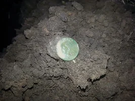 3 inches of frozen ground reveal KEY date indian 1877 and nothing else