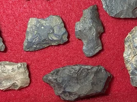 Appalachian Pirate Treasure!!! 8 Reale!!