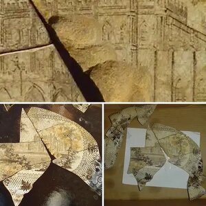 Plates Found - Diving