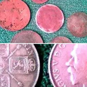 Silver Florin & Others 28th January 2009