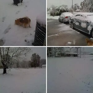 Louisiana Snow Day