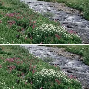 Red River Recovery