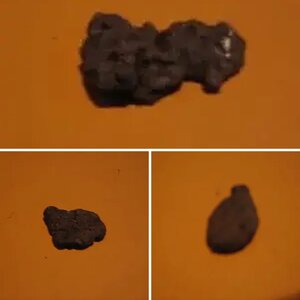 METEORITES