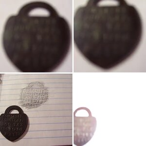 dog tax tag