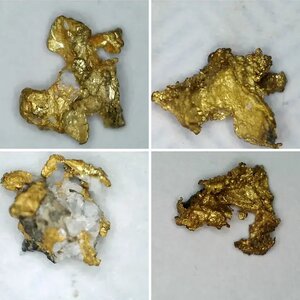 Specimen Gold